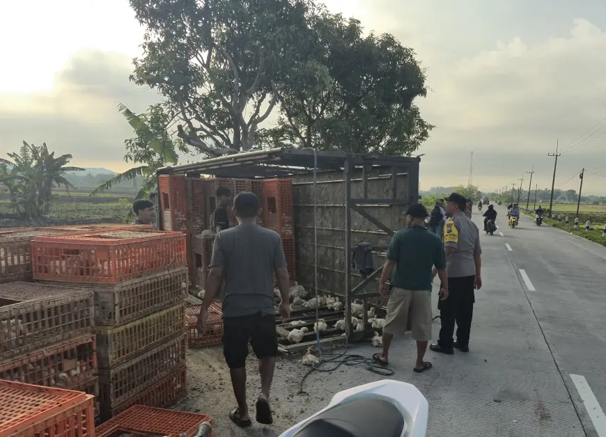 Truk Muat Ayam Hantam 6 Sepeda Motor di Jalan Kabuh Jombang