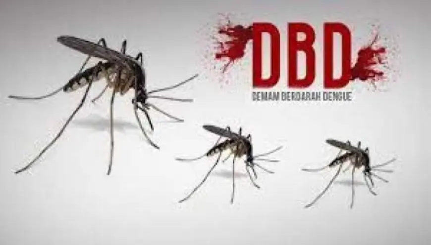 Kasus DBD di Tuban Melonjak, 463 Warga Terinfeksi dan 7 Meninggal Dunia