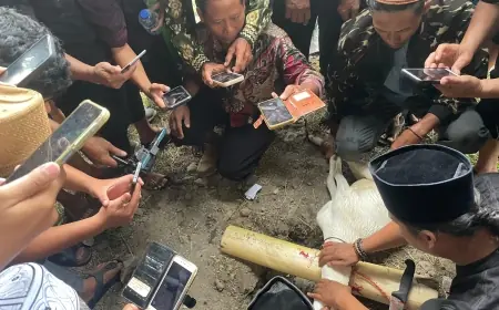 Simak Penjelasan PC LKKNU Jombang Agar Penyembelihan Hewan Kurban Halal