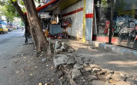 Banyak Trotoar Rusak, DPUPR Kota Probolinggo Sebut karena Akar Pohon