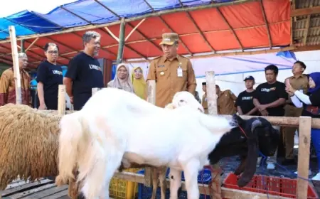Antisipasi Hewan tak Layak Kurban, Pemkot Probolinggo Lakukan Sidak