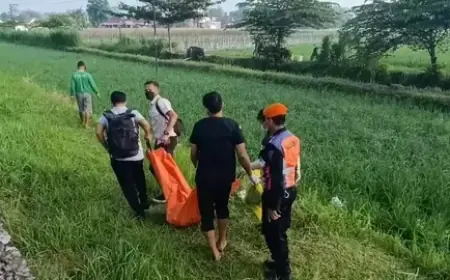 Nenek Renta di Tulungagung Tewas Tertabrak Kereta, Diduga Jalan Sendiri ke Rel