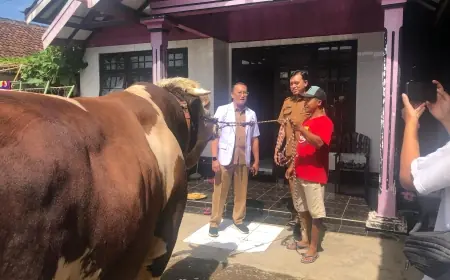 Tempat Pemotongan Hewan Kurban di Bondowoso Harus Penuhi Persyaratan