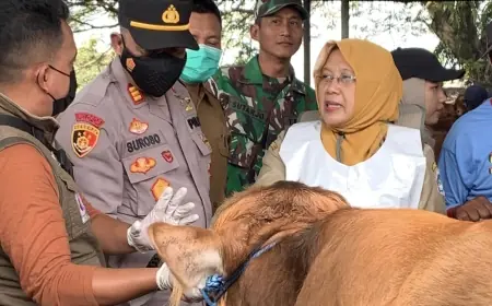 Jelang Iduladha, Pemkab Lamongan Gencarkan Pemeriksaan Kesehatan Hewan Kurban