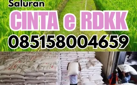 Transparansi Penyaluran Pupuk, DTPHP Jember Sosialisasikan Program Cinta e-RDKK dan WhatsApp Center