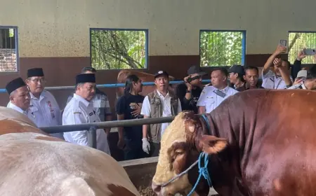 Jelang Iduladha 2025, Bupati Jombang Tinjau Stok dan Kondisi Hewan Kurban