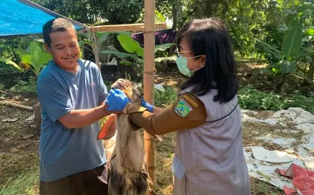 Jelang Iduladha, Dinas Peternakan Pasuruan Keluarkan Surat Keterangan Kesehatan Hewan