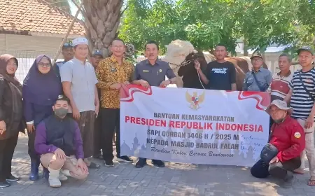 Iduladha 1446 H, Pemkab Bondowoso Salurkan 15 Sapi Kurban dan 1 Ekor Sapi Milik Presiden Prabowo