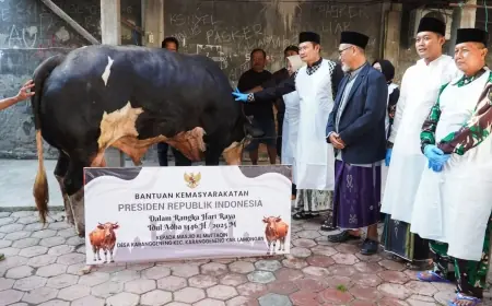 Bupati Lamongan Serahkan Sapi Kurban dari Presiden Prabowo ke Masjid Al Muttaqin Karanggeneng