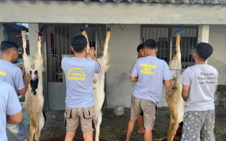 Iduladha Didalam Penjara Mojokerto, 12 Ekor Kambing dan 3 Ekor Sapi Dikurbankan