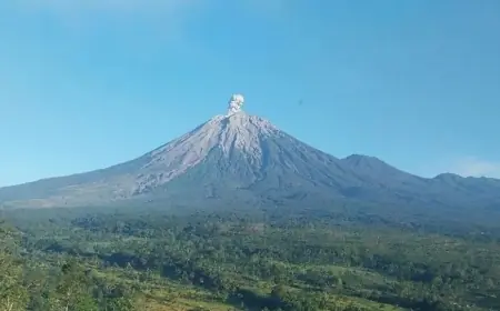 Erupsi, Kolom Abu Gunung Semeru Menjulang Hingga 700 Meter
