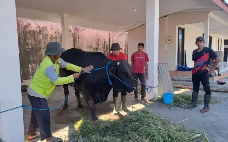 Semangat Gotong Royong, DPRD Nganjuk Patungan Beli Hewan Kurban