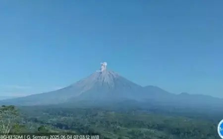 Gunung Semeru Alami Erupsi dan Banjir Lahar, Status Waspada Ditetapkan