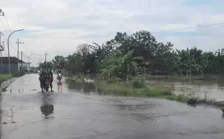 Sebanyak 240 Rumah di Gresik Terendam Banjir Luapan Sungai Lamong