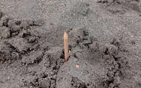 Duh, Ranjau Paku di Lautan Pasir Bromo Bikin Geram Sopir Jeep