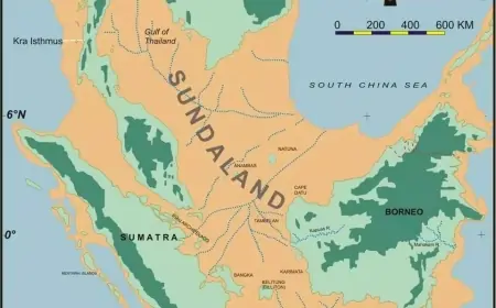 Seorang Arkeolog Temukan Homo Erectus di Selat Madura, Ungkap Kebenaran Sundaland