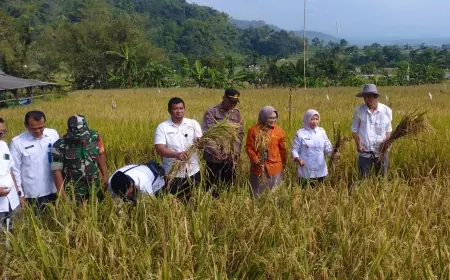 Akademisi dan Petani di Malang Uji Pupuk Organik Cair, Hasilnya Menjanjikan