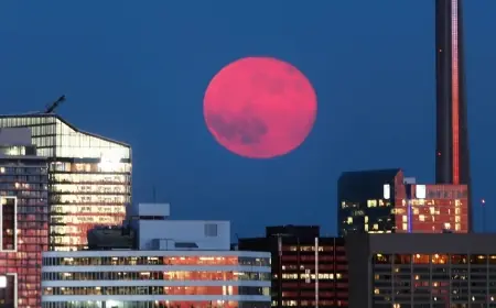 Selain Strawberry Moon, Ini Deretan Fenomena Langit Sepanjang Tahun 2025