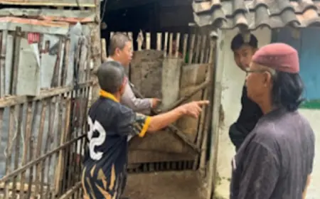 Dua Ekor Sapi Digondol Maling, Warga Probolinggo Rugi Belasan Juta