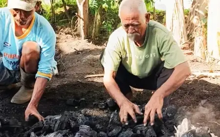 Perjuangan Sang Penjual Arang Asal Lereng Mumbulsari Jember