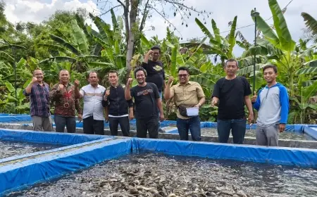 Peternak Lele di Jombang dapat Kunjungan Anggota DPRD Jatim, Diskusi Cari Solusi