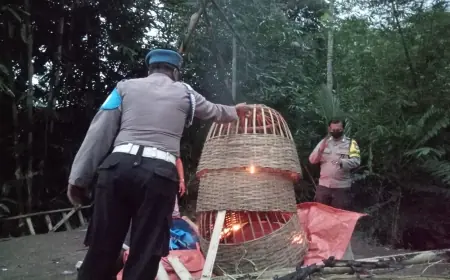 Polres Malang Bongkar Arena Judi Sabung Ayam di Pakisaji, Pelaku Kabur Tinggalkan Tempat dan Kenangan