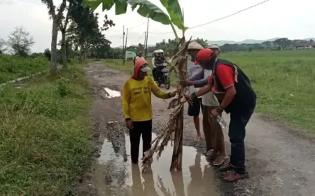 Warga Balongrejo Tanam Pohon Pisang di Tengah Jalan, Sindiran Keras terhadap Pemkab Nganjuk