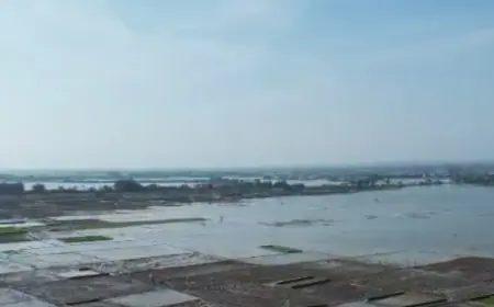 Mangkraknya Waduk Jabung Dianggap Pemicu Banjir, Petani di Tuban Terancam Gagal Panen