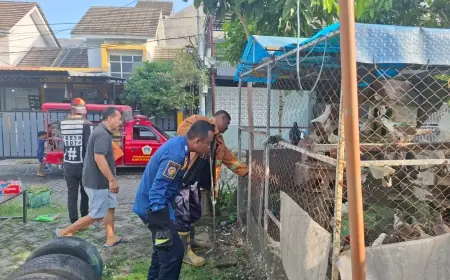 Warga Sekarkurung Gresik Digegerkan oleh Kemunculan Ular Piton Sepanjang 2 Meter