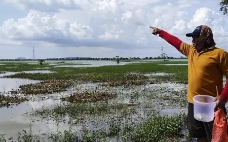 Dianggap Biang Petaka, Petani di Tuban Jebol Tanggul Waduk JRD yang Mangkrak Puluhan Tahun
