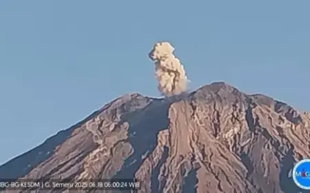 Gunung Semeru Kembali Erupsi, Disertai 44 Kali Gempa Letusan