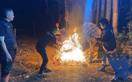 Polisi Gencar Tindak Judi Sabung Ayam di Malang, Tiga Lokasi Disisir dalam Sehari