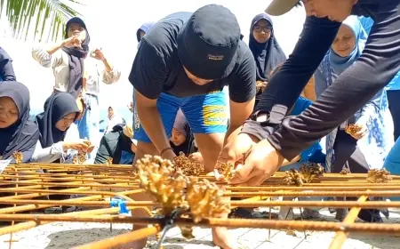 Pemkab Trenggalek Perbaiki Ekosistem Laut  Melalui Konservasi Terumbu Karang di Pantai Mutiara