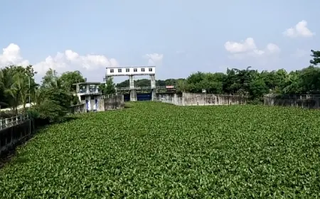 Petani di Tuban dan Lamongan Tuntut Waduk JRD Segera Dinormalisasi