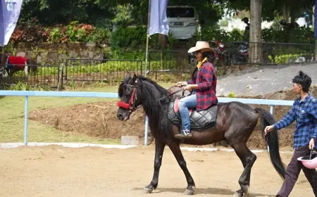 Sensasi Baru di Jatim Park 2: Wisata Berkuda Pertama Resmi Dibuka, Sajikan Pengalaman Unik dan Edukatif