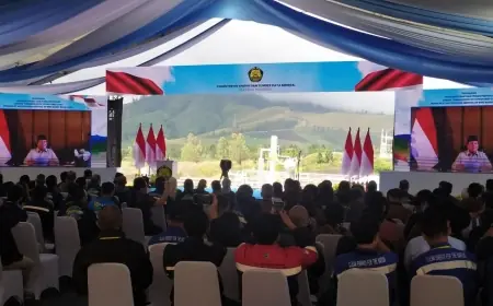 Resmikan Proyek EBT di 15 Provinsi, Presiden Prabowo Optimistis Wujudkan Swasembada Energi