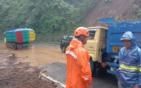 Hujan Deras Berujung Longsor di Ampelgading, Akses Malang–Lumajang Sempat Tertutup