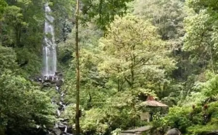 Eksplorasi Wisata Alam Menarik di Pasuruan, Mulai dari Danau hingga Air Terjun