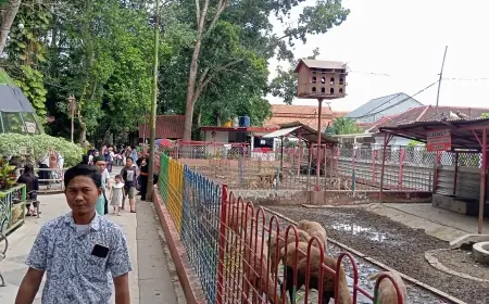 Liburan Sekolah, Wisata Taman Kebon Rojo Kota Blitar Ramai Dikunjungi Wisatawan