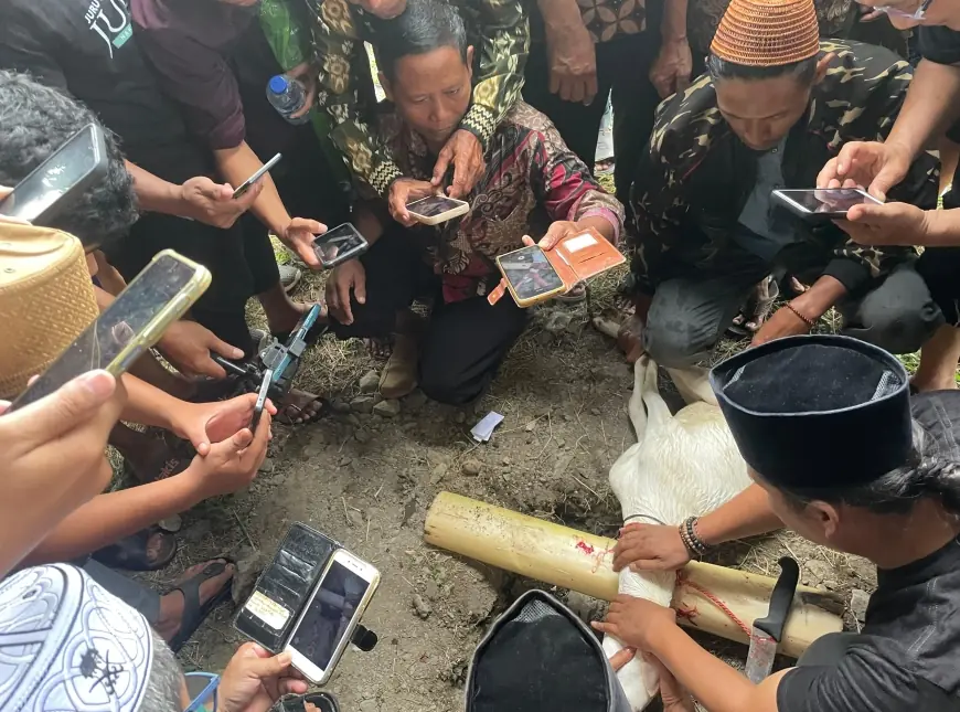 Simak Penjelasan PC LKKNU Jombang Agar Penyembelihan Hewan Kurban Halal