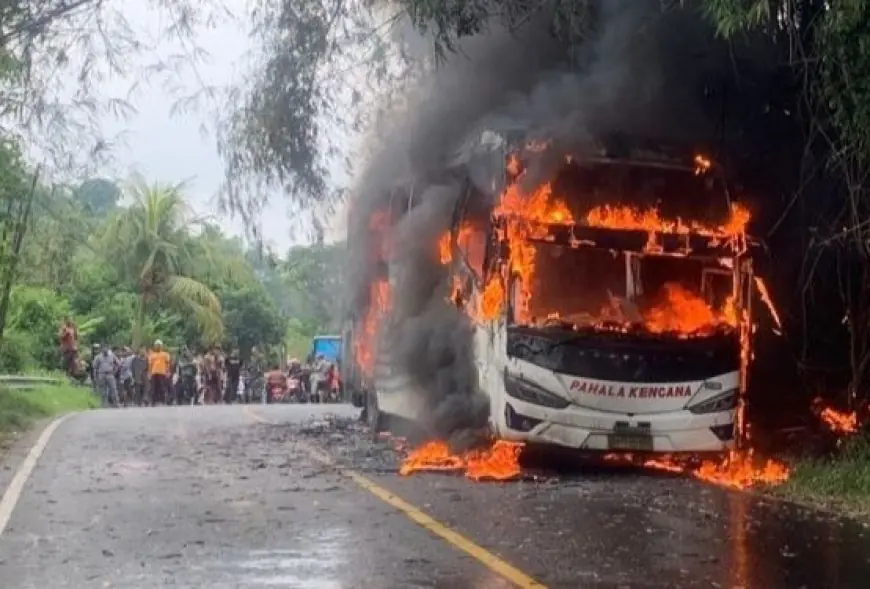 Bus Pahala Kencana Bawa Rokok Ilegal Terbakar di Bangkalan, Tiga Penumpang Selamat