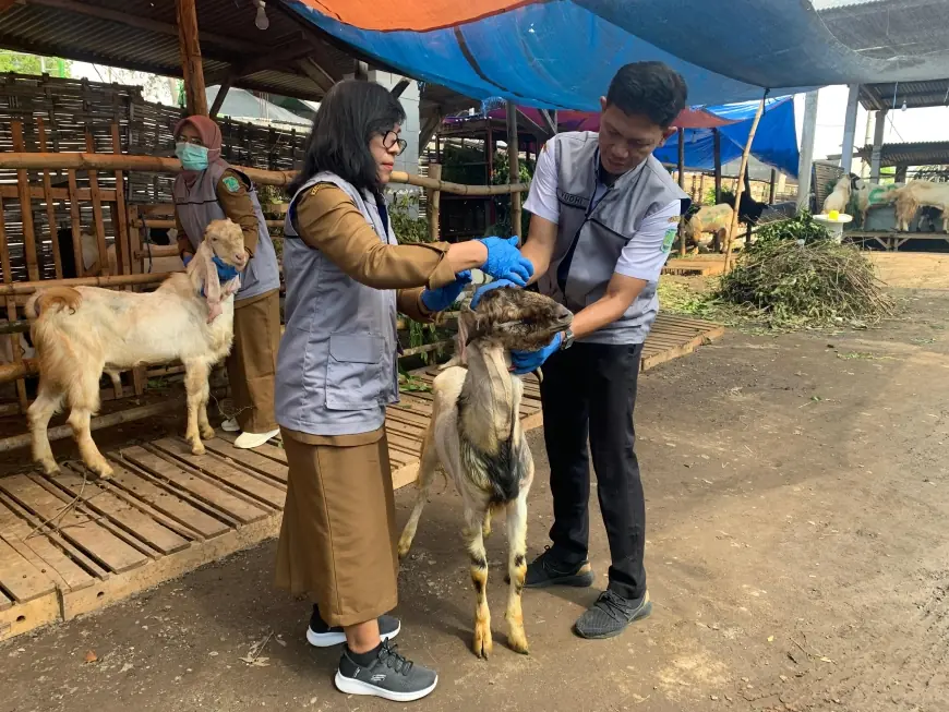 Jelang Iduladha, Dinas Peternakan Pasuruan Gencarkan Pemeriksaan Hewan Ternak