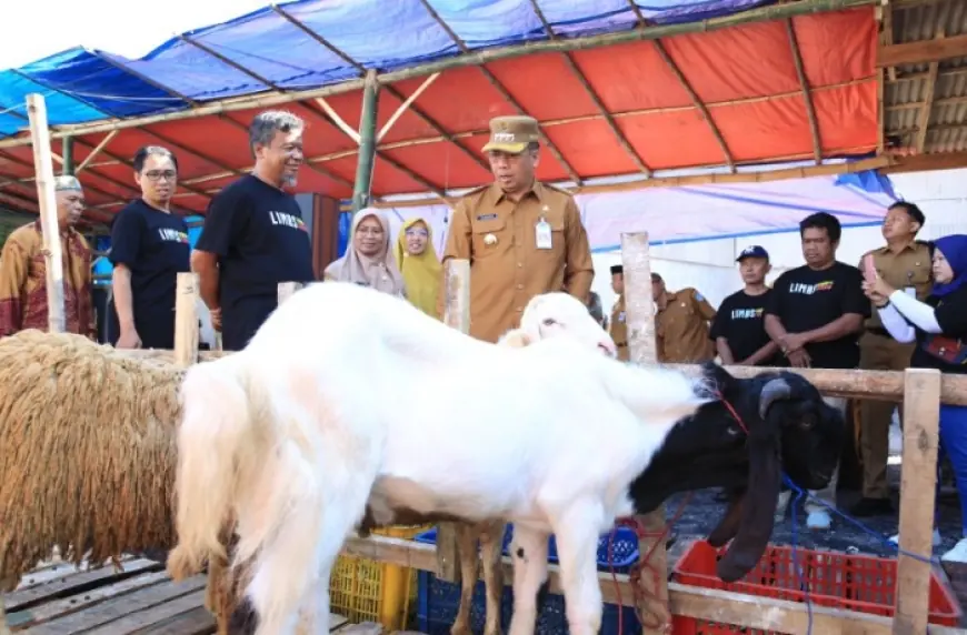 Antisipasi Hewan tak Layak Kurban, Pemkot Probolinggo Lakukan Sidak