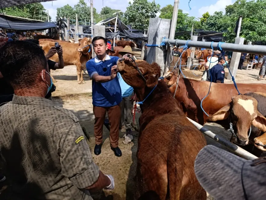 Jelang Iduladha, Belasan Hewan Ternak di Kota Blitar Diserang Penyakit Cacing