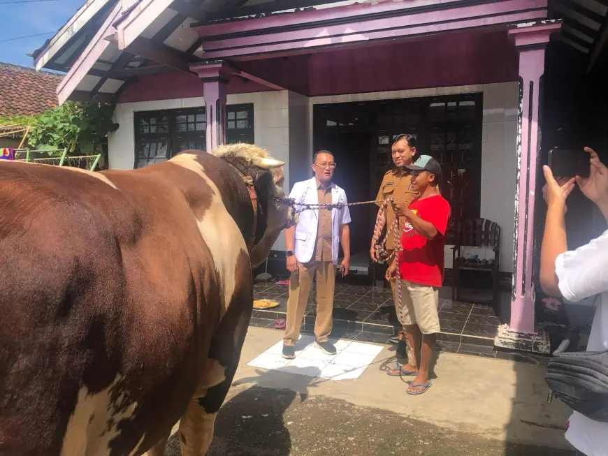 Tempat Pemotongan Hewan Kurban di Bondowoso Harus Penuhi Persyaratan