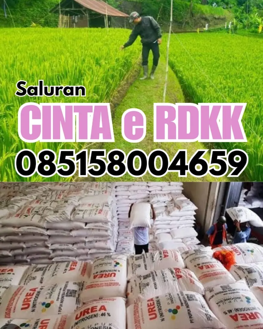 Transparansi Penyaluran Pupuk, DTPHP Jember Sosialisasikan Program Cinta e-RDKK dan WhatsApp Center