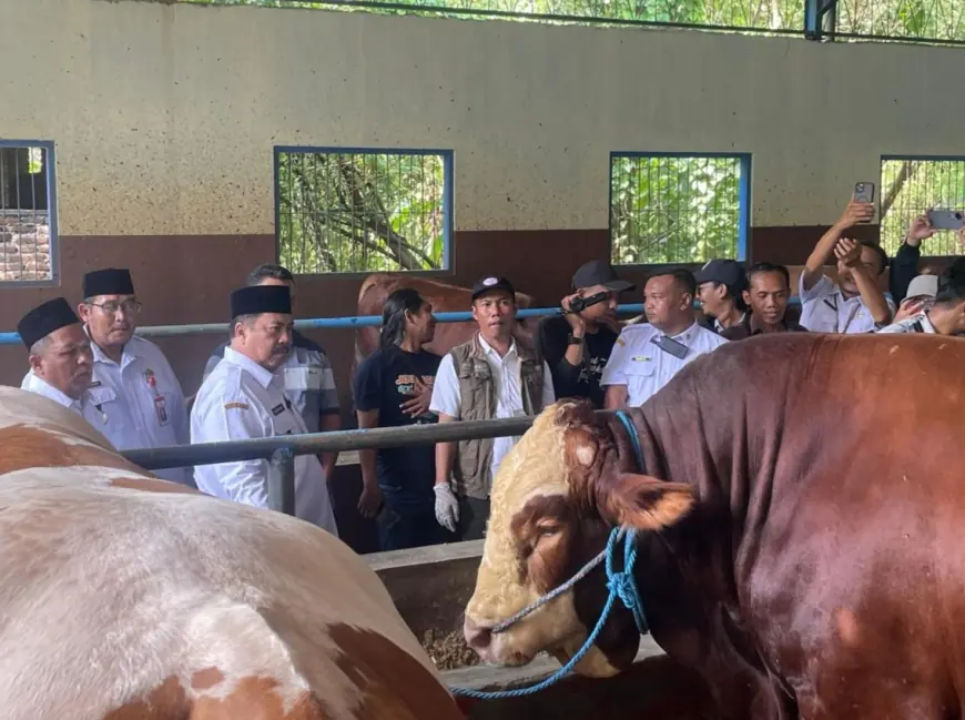 Jelang Iduladha 2025, Bupati Jombang Tinjau Stok dan Kondisi Hewan Kurban