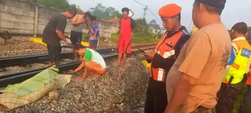 Balita di Rejotangan Tewas Tertabrak KA Gajayana saat Bermain Dekat Rel