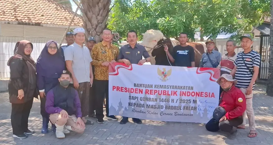 Iduladha 1446 H, Pemkab Bondowoso Salurkan 15 Sapi Kurban dan 1 Ekor Sapi Milik Presiden Prabowo