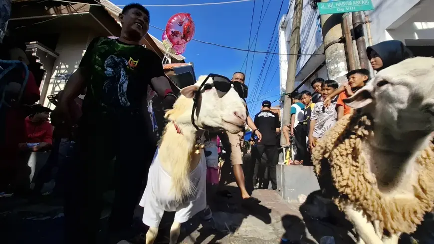 Uniknya Tradisi Arak-arakan Kambing Kurban di Gresik Jelang Iduladha